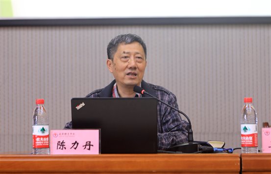 单人